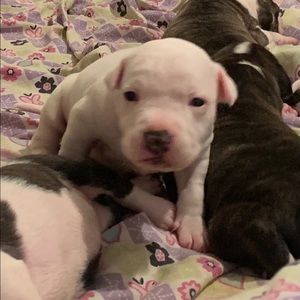 Meet your Posher, Christopher